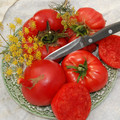 TOMATO KOLB seed image