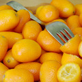 KUMQUAT seed image