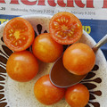 TOMATO LEWIS' LONG KEEPER seed image