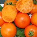 TOMATO MANDARIN ORANGE seed image