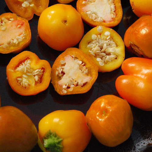 PEPPER MINI BELL (ORANGE) seed image