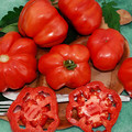 TOMATO MONTSERRAT seed image