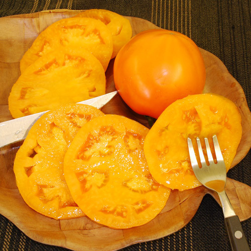 TOMATO MOONGLOW seed image