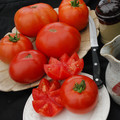TOMATO NEW YORKER seed image
