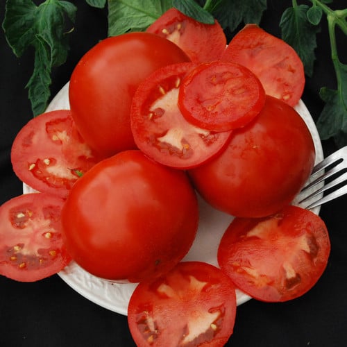 TOMATO OLD BROOKS seed image