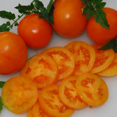 TOMATO ORANGE OXHEART seed image