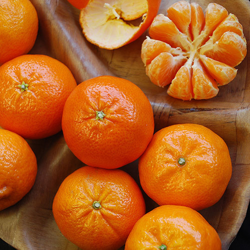 MANDARIN ORANGE seed image