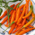 PEPPER ORANGE THAI seed image