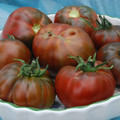 TOMATO PAUL ROBESON seed image
