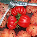 TOMATO PINK ACCORDION seed image
