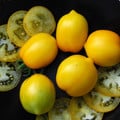 TOMATO PLUM LEMON seed image