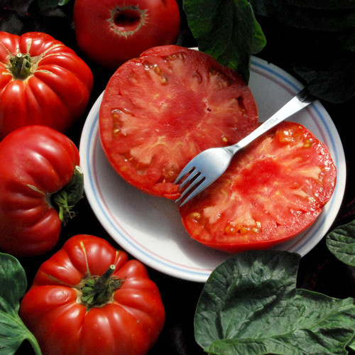 TOMATO PRUDEN'S PURPLE seed image
