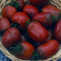 TOMATO PURPLE RUSSIAN seed image
