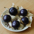 TOMATILLO PURPLE seed image