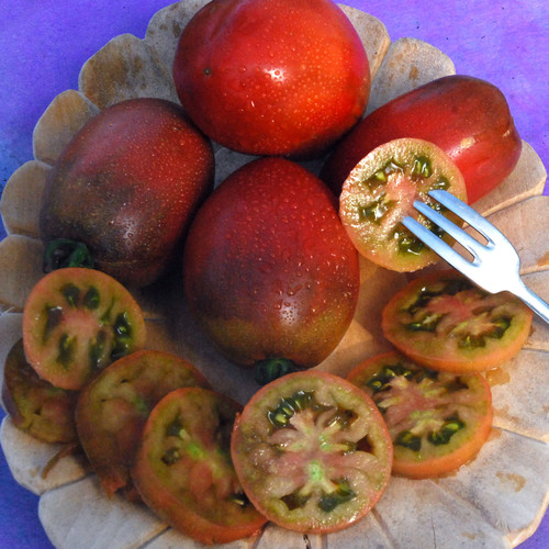TOMATO PURPLE UKRAINE seed image