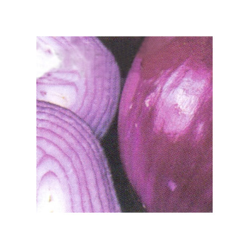 ONION RED BRUNSWICK seed image