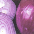 ONION RED BRUNSWICK seed image