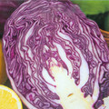 CABBAGE RED DRUMHEAD seed image