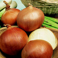 ONION RIJNSBURGER seed image
