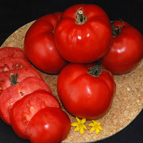 TOMATO SIOUX seed image
