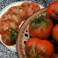 TOMATO SOUTHERN NIGHTS seed image