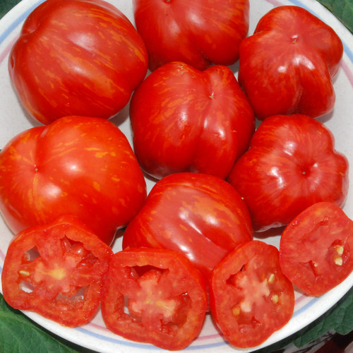 TOMATO STRIPED CAVERN seed image