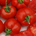TOMATO STUPICE seed image