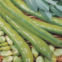 BEAN SUPER AQUADULCE seed image