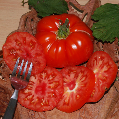 TOMATO SUPER MARMANDE seed image