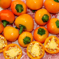 PEPPER SWEET YELLOW STUFFING seed image