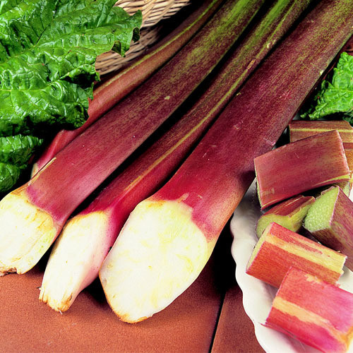 RHUBARB VICTORIA seed image