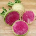 RADISH WATERMELON seed image