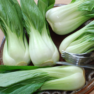 CABBAGE (CHINESE) WHITE PAK CHOI seed image