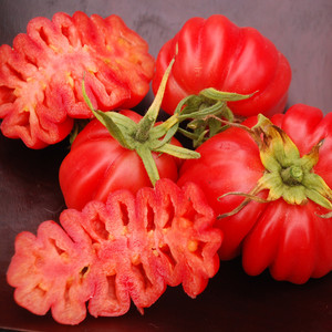 TOMATO ZAPOTEC PLEATED seed image