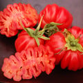 TOMATO ZAPOTEC PLEATED seed image