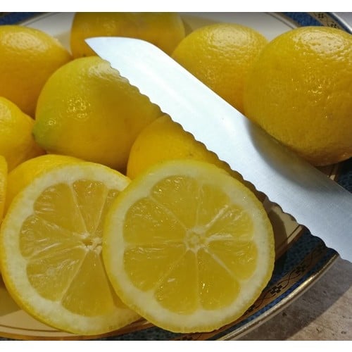 LEMON FRUIT (CITRUS LIMON) seed image