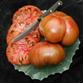 TOMATO CARBON seed image