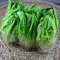 LETTUCE LITTLE GEM seed image