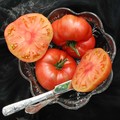TOMATO MARIANNA'S PEACE seed image