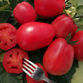 TOMATO SHARPER PINK seed image