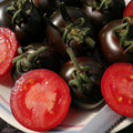 TOMATO AMERICAN BLUE seed image
