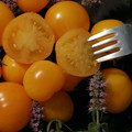 TOMATO GOLD BALCONY MIRACLE seed image