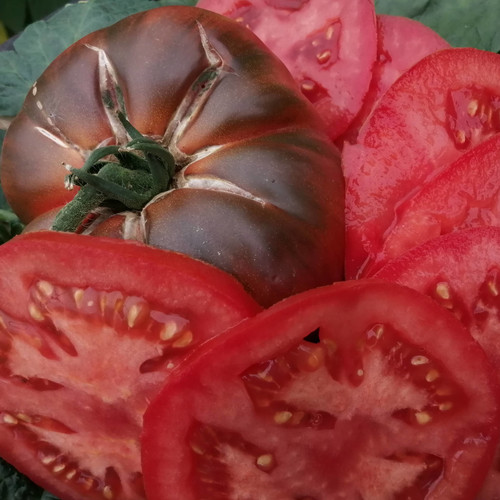 TOMATO BLACK MASTER seed image