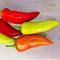 PEPPER HOT LOLLY seed image