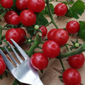 TOMATO KAMATIS NA LIGAW seed image