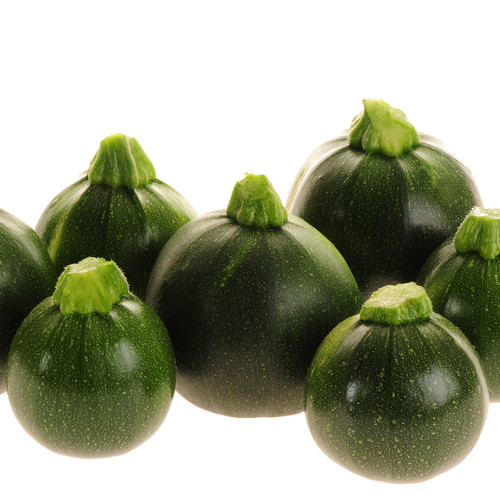 COURGETTE EIGHT BALL F1 seed image