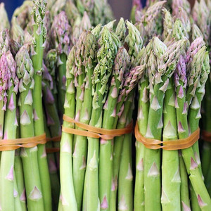 ASPARAGUS MARY WASHINGTON seed image