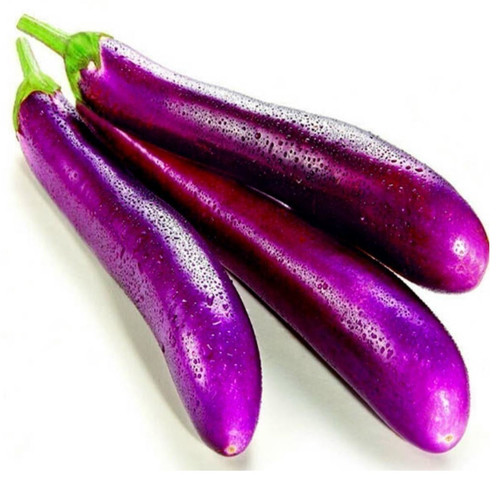 AUBERGINE LONG PURPLE seed image