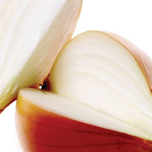 ONION SANTERO F1 seed image