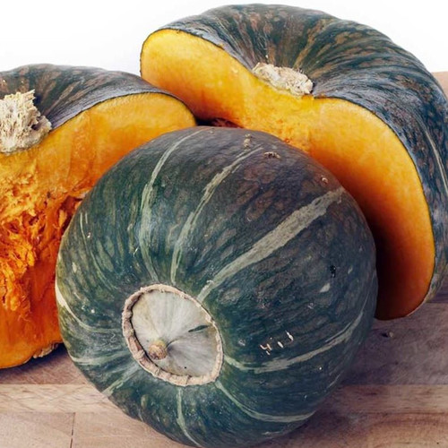 SQUASH (WINTER) KABOCHA F1 seed image
